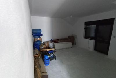 Sanandrei Casa Individuala - 13