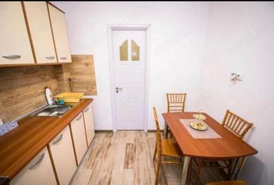 CENTRAL 2 CAMERE ETAJ 1 470 EURO TERMEN LUNG - 5