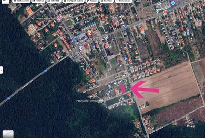 Corbeanca – langa padure si Moara Corbeanca, 1118 mp, deschidere 20 m, utilitati - 3