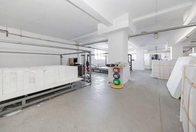 Platformă industrială cu 2 hale și sediu administrativ – teren 3.871 m - 27