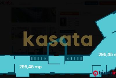 Spatiu de birouri |  I.C. Bratianu | Ultra-central - 14