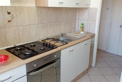 De inchiriat apartament cu 2 camere Podgoria - 3
