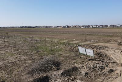 Teren Intravilan Primaverii - Com Berceni | utilitati in zona | #EG10E - 6