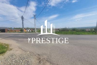 TEREN  EXTRAVILAN 2000 MP ÎN DAIA - BAVARIA | DEALUL 2 | DOAR 15€/MP - 22