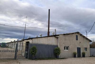 Hala industriala versatila,spatii cazare, platforma betonata,Halchiu,Brasov - 13