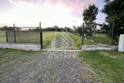 Casa de vacanta cu. teren 31.300  Nadas, 38 km de Timisoara. - 6