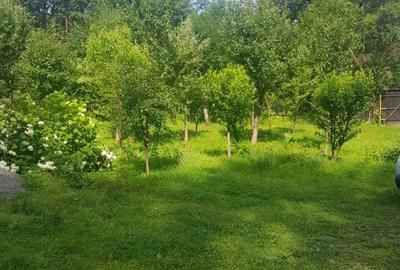 Cabana 4 camere zona Valea Avrigului - 8