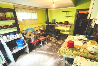 CASA traditionala BICAZU ARDELEAN + teren extravilan 1,6 hectare - 9