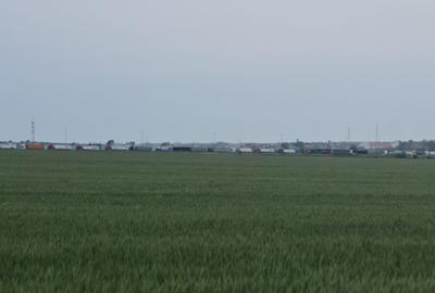 Teren de vanzare Lazu zona Logistic Park - 10
