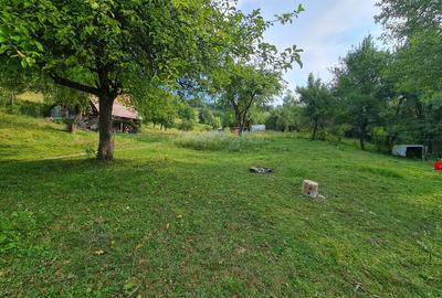 Teren extravilan de 30000 mp, în Pleșcuța