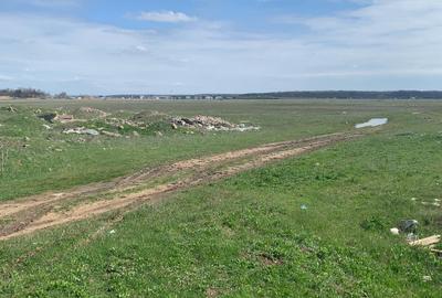 Voluntari   Matei Millo  Pipera  Vanzare  teren  intravilan - 13