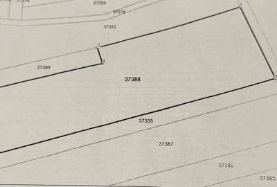 Teren extravilan, 4112 mp, Carcea, zona Pelendava - 1