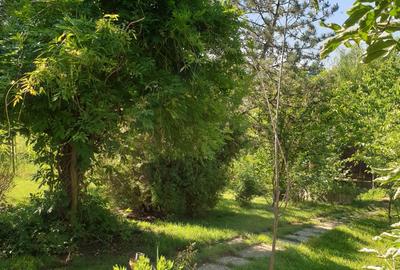 Snagov  Ultimul Refugiu la Lac: Proprietate Rara cu Priveliște de Poveste - 7