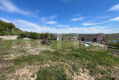 Teren Construcții intravilan de 1000 mp, în Viișoara