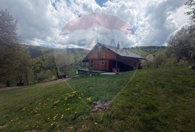Proprietate eco-turistică de vânzare – 62.330 mp, Horea, Alba - 40