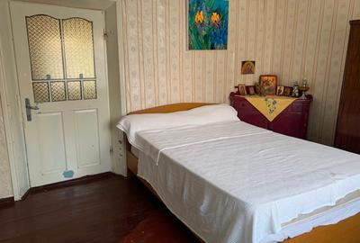 Potențial pensiune / investiție / casa de vacanță - 10