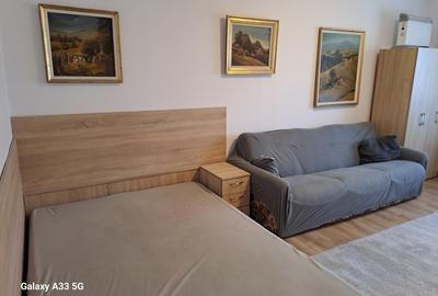 Garsonieră decomandată, mobilată în Baba Novac