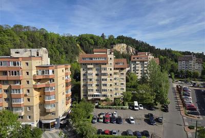 Apartament spatios cu 2 camere Parcul Trandafirilor Racadau - 17