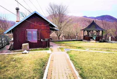 Super proprietate langa Breaza  cu teren  5000Mp , structura solida , cazemata - 4