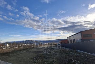 Teren intravilan la intrare in Cristian, pentru constructii industriale - 2