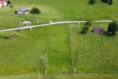 TEREN INTRAVILAN, 1380MP, FUNDATA - 7