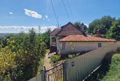 Casa in mediu rural cu teren - 6
