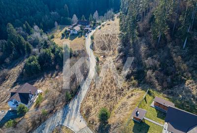 Teren pentru construcții în Săcele, cu potențial imens - 15