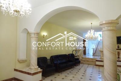 Proprietate impresionanta D+P+M, teren 4781MP, IANCU NICOLAE - 12