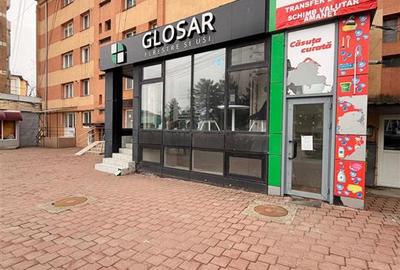Spatiu de inchiriat - Statie Banca - 3