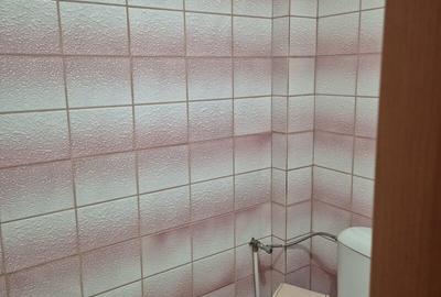 Militari Gorjului stradal Bd. Iuliu Maniu - 7