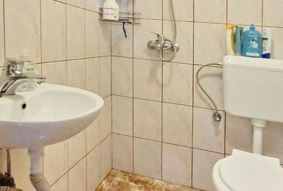 Casă deosebită cu garsonieră separată – Vulcan - 14