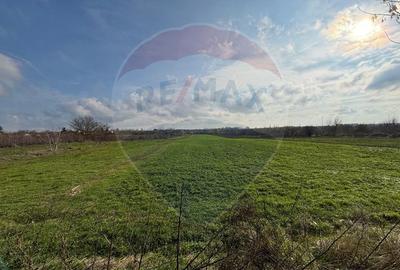 Teren 7.094 mp Buftea lângă parc – POT 30%, CUT 1, ideal dezvoltare - 6