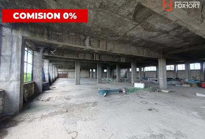 Cladire productie Parter + 3 niveluri, teren intravilan 9738 mp in Timisoara - 19