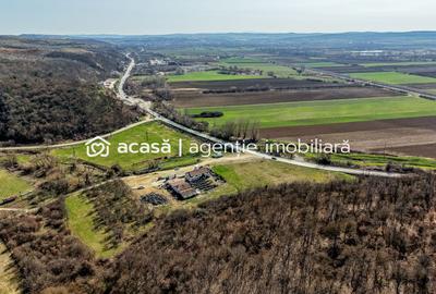 Oportunitate Investitie! Proprietate comerciala/industriala în Paulis - 3