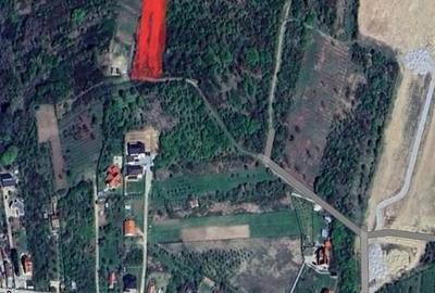 Teren intravilan de 3000 mp, în Săldăbagiu de Munte