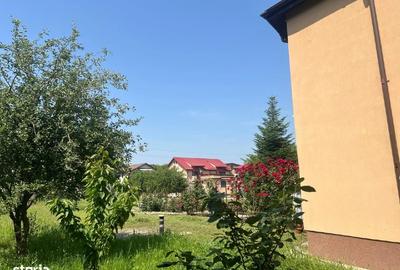 Vânzare Teren și clădire în Bragadiru Celofibrei 25-27 Stradal - 6