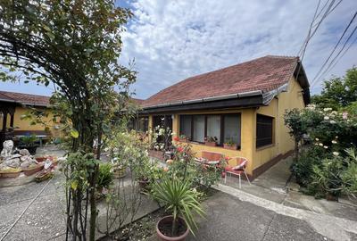 2 case, hala depozitare, teren 3785 mp - 2 F.S. - 22 m, pe malul Begai - 1