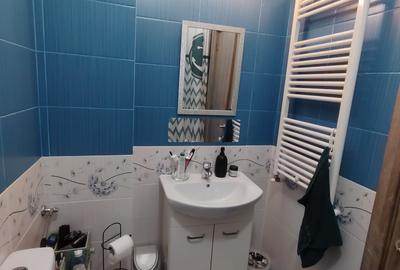 BRANCOVEANU SUD OARK CITY imobil 2015, etaj 5, finisaje si mobilier modern. - 11