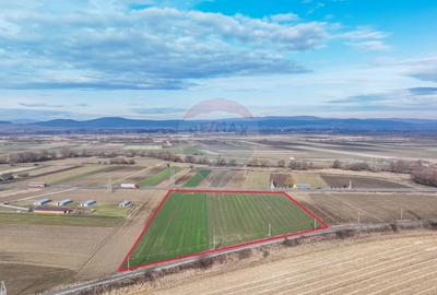 Teren 5,300mp Prejmer / DN11 Brașov-Covasna - 5