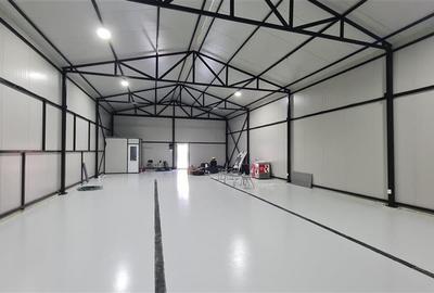 Proprietate industriala Podari – 2 hale (344 mp) + teren 2.515 mp - 8