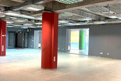 Spatiu de birouri Universitate - Pret exceptional ! - 2