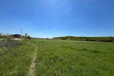 Teren extravilan 4500 MP, cu PUZ, Grigorescu , Oradea. - 2
