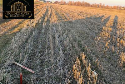 Teren agricol intravilan de 600 mp, în Vidra