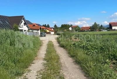 Teren intravilan 3h, Stupini -Str. Oitelor, asfalt si utilitati la 70 m - 8
