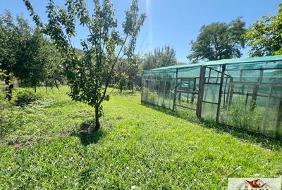 Vanzare casa in Ciugud 1800 mp teren - 9