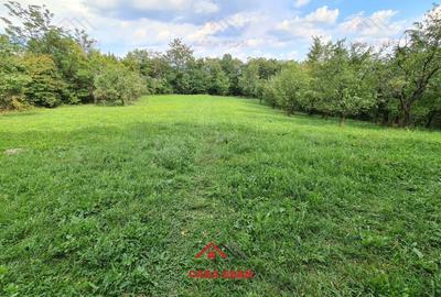 ●Teren intravilan in Poiana Campina,zona retrasa,3287 mp,10e● - 8