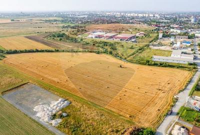 Teren 20.000 mp Arad. Ideal pentru mica industrie, servicii, transport - 3