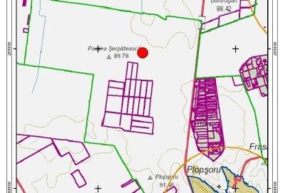 Vand teren agricol Daia Giurgui 35.4 HA - 3