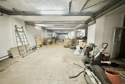 Hală producție | Subsol + Parter + Etaj | Corp anexă | Parcare curte - 14