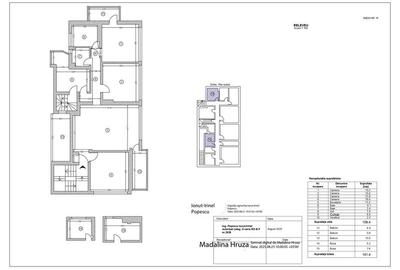 Apartament 4 camere in vila, etajul 1/2, Alexandru Ioan Cuza - 4